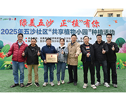 Spreading Green Hope, Building a Beautiful Wusha Together